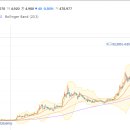 (주)금양 이미지