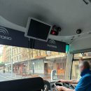 울릉이당 | 시드니 울릉공 스카이다이빙 버킷리스트 성공! 가격 후기 소요시간