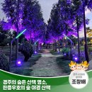 한중우호의숲 이미지