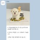 이야(YIYA) 이미지