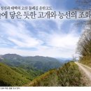 19년11월 정기산행(정선 하늘길) 이미지