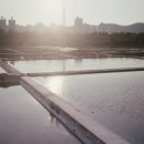 오르보
