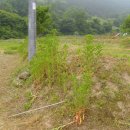 오삼농장 이미지