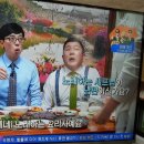 블럭스토리 이미지