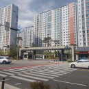 율하자이힐스테이트 원메이저자이 사거리 횡단보도 | 김해 율하 원메이저 자이 답사 다녀왔어요~