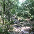 왕방산 21연봉과 야생초목 산책 이미지