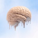 대영바이오 이미지