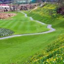 로얄스크린골프장 이미지