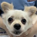 해뜨는 동물병원 이미지