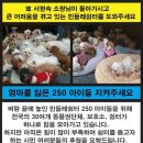 방학사진관