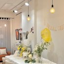 소랑호게 이미지