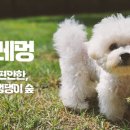 포레멍 이미지