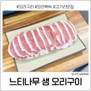 효성생오리구이식당 | 고기리 오리고기 맛집 느티나무 생오리구이 내돈내산 후기