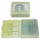 놀이랑 과학실험실 이미지