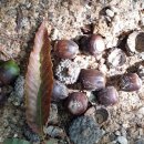 화랑대역 2번출구 이미지