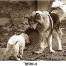 홈인테리어필름 네이버블로그