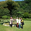 축령산아침 이미지