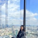 No1 카서비스 | 도쿄 일본여행 준비 트래블로카 호텔 예약