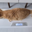 (주)모카 이미지