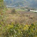 곡성-259 이미지