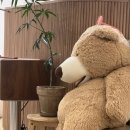 네일오이룸 이미지