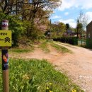 세븐일레븐 파주용미리점 이미지