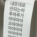 사월의바보 네이버블로그
