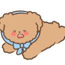 오디디 이미지