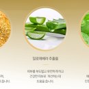 리헤브 이미지
