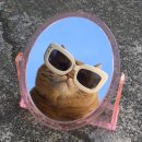 우리나라디저트 이미지