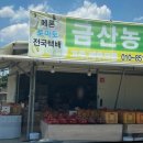 진하농원