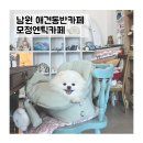 공간 -모정 | 남원 애견동반카페 [모정엔틱카페]