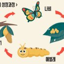 한아람초등학교 이미지