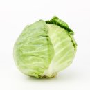 미성동-19 이미지