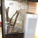 신내한의원 네이버블로그