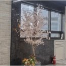 다산세탁소 이미지