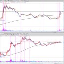 디아이인터내셔널 이미지