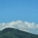 꼬마나라어린이집 | 7월 넷째주/ 영화 호프 HOPE &amp;화순 아쿠아나 야외 워터파크 좋아!