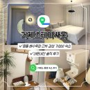 스테이 새록 이미지