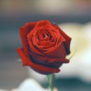 윙스골프존 이미지