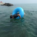 동해바다 2 이미지