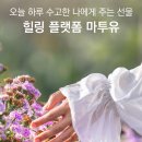 골드스웨디시테라피