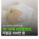 정부가 백수들한테 최대 350만원 지원해줌 이미지