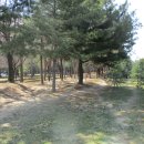 정발산공원 산책로 입구 이미지