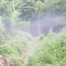 추곡터널낚시터 이미지