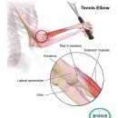 예산정형외과의원 이미지