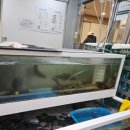 동해제일학원 이미지