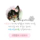 사직2동-24 이미지