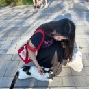 [수원모류교정] 수원미용실 아엠헤드 링거펌 후기 – 모류교정 효과 대만족임