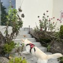 남한강변길 | 양평 뷰카페 추천 구벼울 내돈내산 드디어 다녀와 본 솔직후기